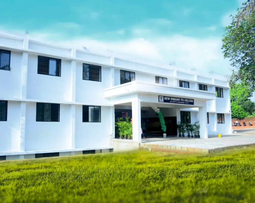 New Vibrant PU college